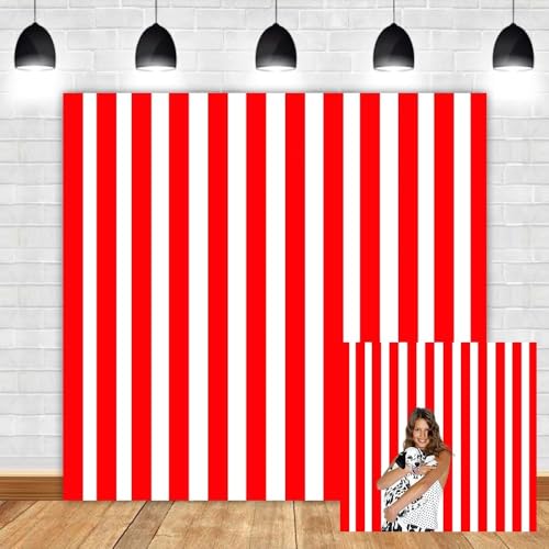 Leyiyi 6x6ft Photography Background Red and White Stripe Backdrop Happy Birthday Party Vertical Horizontal Stripes Summer Holiday Banquet Baby Shower Blog Make-up Photo Portrait Vinyl Studio Prop - color: Red, size: 6x6ft