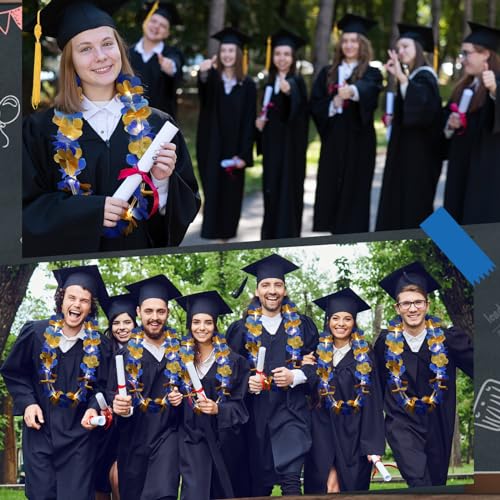 Sherr 24 Pcs Graduation Leis Class of 2026, Light up Leis Blue and Gold, LED Hawaiian Flower Necklace Party Supplies for Graduation Ceremony, Senior Night, Prom, Wedding, Tropical Luau - color: Blue Gold