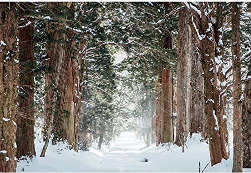 Forest Backdrop,Yeele 12x8ft Winter Snow Nature Landscape Vinyl Photography Background Snow Covered Road Background for Photo Props Holiday Supplies Wallpaper - size: 12x8ft