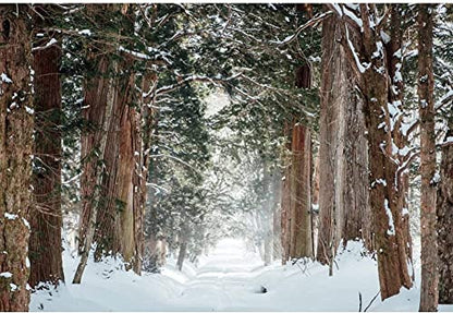 Forest Backdrop,Yeele 12x8ft Winter Snow Nature Landscape Vinyl Photography Background Snow Covered Road Background for Photo Props Holiday Supplies Wallpaper - size: 12x8ft