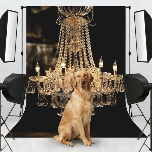 Gorgeous Crystal Chandelier Backdrop Background for Photography 5x7ft Photobooth Professional Photo Backdrop Curtains Video Photography Studio Photo Backgrounds Banner Booth Background Screen Parties - color: Gorgeous Crystal Chandelier