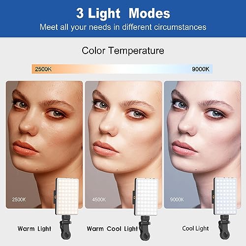 Selfie Light, Phone Light with Front & Back Clip, 60 LED Portable Light with 3 Modes, 5000mAh Rechargeable Video Light for Phone, iPhone, IPad, Laptop, TikTok, Makeup, Live Stream, Vlog - color: Black