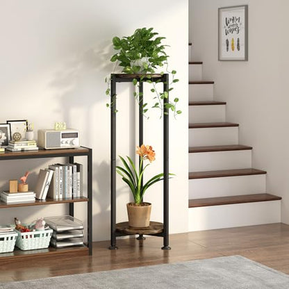 Plant Stand Indoor Corner Tall 2 Tier Metal Modern Flower Storage Plant Shelf Holder for Living Room Balcony Garden,Black (2 Tier-Black Round)