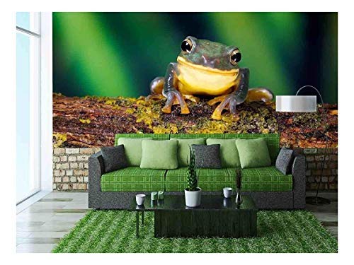 wall26 - Smile! a Little Frog Smiling at The Camera - Removable Wall Mural | Self-Adhesive Large Wallpaper - 66x96 inches - color: Artwork - 19, size: 66"x96"