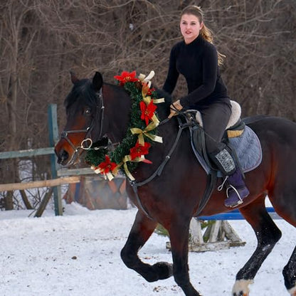 Dingion Christmas Wreath Horse Christmas Horses Neck Garland 16.9 Inches Artificial Outdoor Garland Horse Costume Rustic Farmhouse Decor for Xmas Holiday Party Parades Supplies(Poinsettia Style) - style: Poinsettia Style
