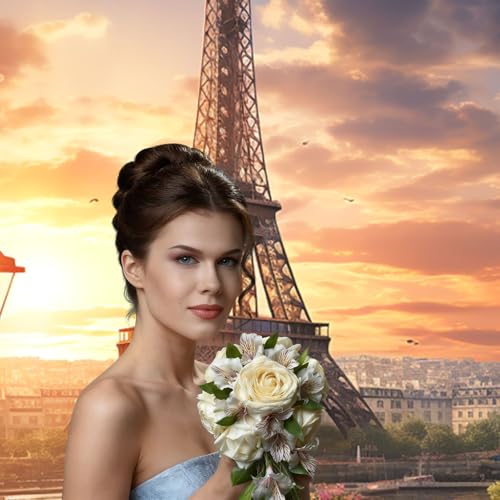 EiffelTower Backdrop Background for Photography 5x7ft Photobooth Professional Photo Backdrop Curtains Video Photography Studio Photo Backgrounds Banner Booth Background Screen Parties - color: EiffelTower