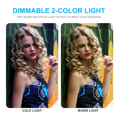Photo Studio Light Box, 20"x20" Professional Photography Photo Light Box with 160 LEDs Lights & 4 Color Backgrounds for Product Picture Photography - size: 20*20inch