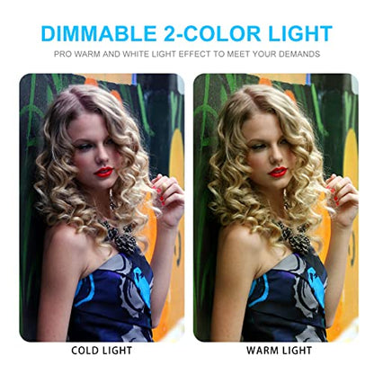 Photo Studio Light Box, 20"x20" Professional Photography Photo Light Box with 160 LEDs Lights & 4 Color Backgrounds for Product Picture Photography - size: 20*20inch