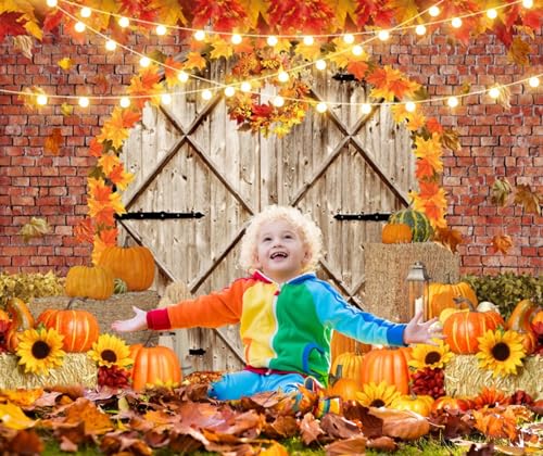 Fall Thanksgiving Backdrops for Photography Pumpkin Barn Door Fall Photo Backdrop LFEEY 10x8ft Maple Autumn Harvest Theme Background Autumn Farm Harvest Event Party Decorations Banner Photo Props