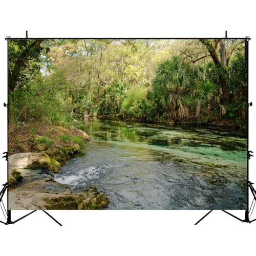 5x7ft Photography Backdrop Orlando Florida Fresh Water Spring Nature Landscape Photo Backdrop Photography Background for Photoshoot Portrait Video Party Photo Studio Prop Booth - color: Color5