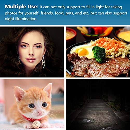 OURRY Selfie Clip on Ring Light, Mini Rechargeable 9 Level Adjustable Brightness Modes with 32 LED, 2-8 Hours, USB Flash Lighting for iPhone/Android, Cell Phone Photography,Video, Vlogging - Pink