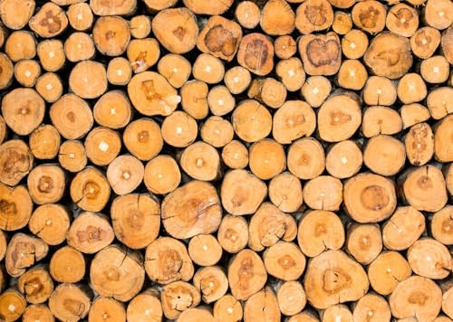BELECO 7x5ft Fabric Pile of Wood Backdrop Wooden Logs of Trees, Wood Log Texture Firewood Background for Party Decorations Home Wall Decor Portrait Photoshoot Studio Props - size: 7x5FT