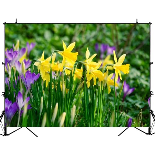 5x7ft Photography Backdrop Springtime Bunch Wild Yellow Daffodil Narcissus pseudonarcissus Photo Backdrop Photography Background for Photoshoot Portrait Video Party Photo Studio Prop Booth - color: Color2