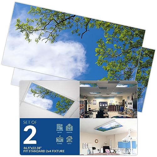 Fluorescent Light Cover for Classroom Ceiling Lights - Premium Backlit Film Insert 2x4 (22.38"x46.5") Florescent Fixture (Pack of 2) School, Office, Sensory, Improve Focus, Eliminate Headaches - Tree - color: Blue Sky Acacia Tree, size: 2pk