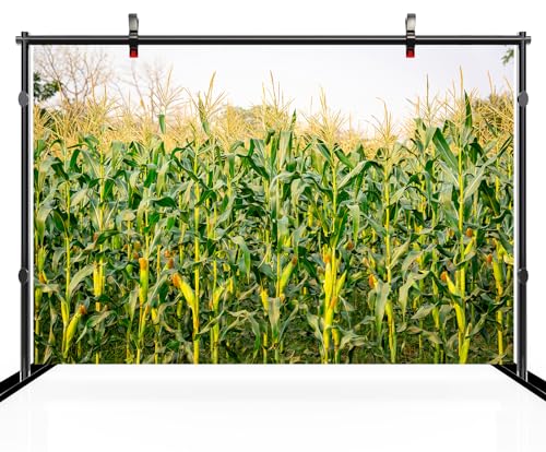 5x3ft Cornfield Backdrop Autumn Green Corn Field Stalks Countryside Corn Farm Harvest Fall Scenery Background Fall Harvest Party Decor Photo Booth Studios Props Wallpaper - size: 5x3FT