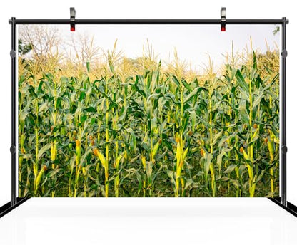 8x6ft Cornfield Backdrop Autumn Green Corn Field Stalks Countryside Corn Farm Harvest Fall Scenery Background Fall Harvest Party Decor Photo Booth Studios Props Wallpaper - size: 8x6FT