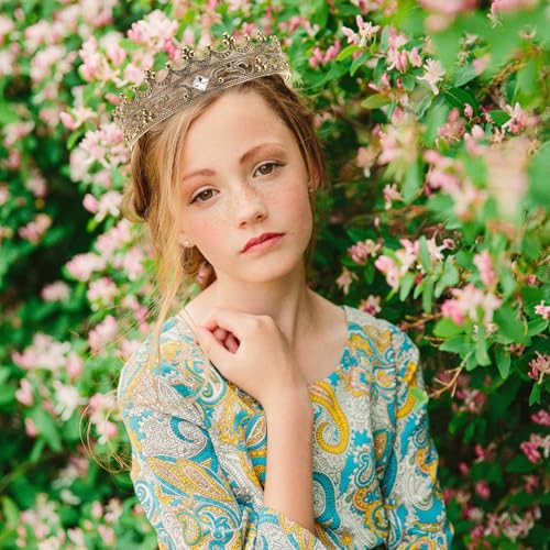 LOGOFUN Antique King Crowns Vinatge Royal Style Headband Photo Props with Rhinestones for Adult Birthday Celebrations Prom Events - Golden