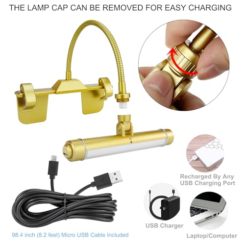 LUXSWAY Wireless Picture Frame Led Lighting,Rechargeable Art Display Lighting Clip on Pictures,Over Painting Lights with Remote,Artwork Lamp with Flexible Neck,28 LEDs 3 Lighting Modes 200LM-Gold - color: G Gold, size: Rechargeable-3 Mode-Flexible Neck