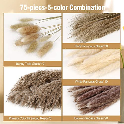 N&T NETING Dried Pampas Grass Decor- White Pampas Grass, Brown Pampas, Bunny Tail, Reed, Fluffy Dried Pompas Grass Flower for Home Wedding Table Vase Boho Modern Decor, 75Pcs