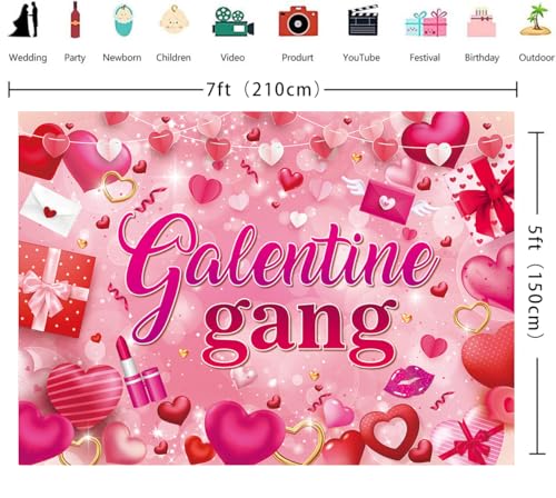 Galentine Gang Banner Backdrop 7x5FT Galentines Day Pink Cosmetics Love Heart Photography Background Valentines Girls Bestie Friend Theme Party Decorations Photo Props