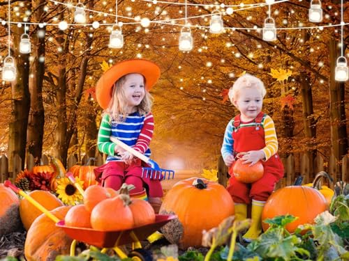 Fall Thanksgiving Backdrop for Photography 10x8ft Autumn Forest Maple Leaves Pumpkin Wood Fence Haystack Photo Backdrop Farm Harvest Thanksgiving Party Background Decor Kids Adult Photo Props