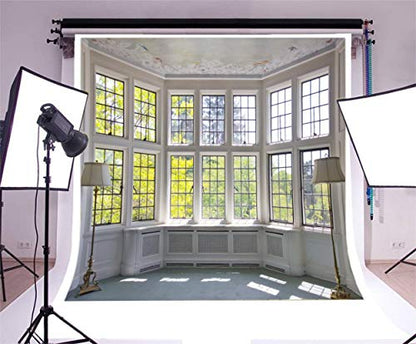AOFOTO 8x8ft Classic French Pane Bay Window Backdrop Luxury Retro Interior Decoration Floor Lamps Photography Background Modern New Life Furniture Home Lifestyle Estate Photo Studio Props Vinyl - size: 8x8ft