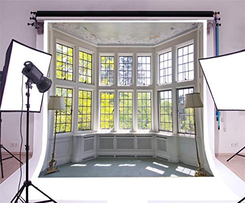 AOFOTO 6x6ft Classic French Pane Bay Windows Backdrop Luxury Retro Interior Decoration Floor Lamps Photography Background New Life Furniture Home Lifestyle Estate Modern Residence Photo Studio Props - size: 6x6ft