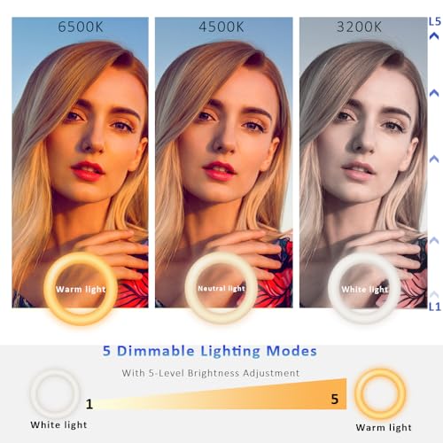 Cyezcor Video Conference Lighting Kit， Clip on Light Reading Lights， Ring Light, 360 ° Flexible Gooseneck Bed Night Light ，Computer Laptop Video Conferencing - size: 6 Inch