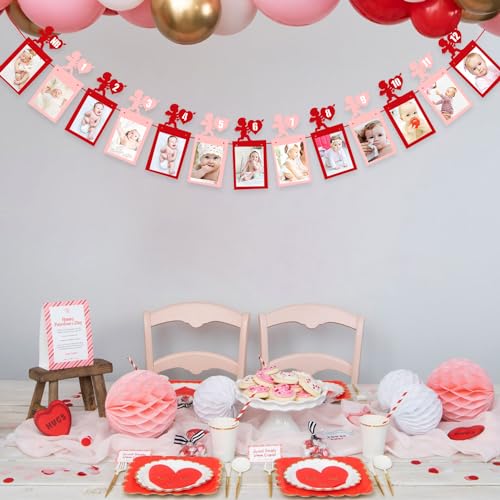Valentine’s Day 12 Months Photo Banner Heart Theme Garland Pink Red Valentine's Day 1st Birthday Party Newborn First Year Decor
