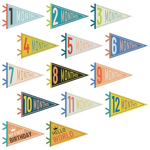 VitalCozy 14 Pcs Baby Milestone Pennant Signs Monthly Milestone Banner Flags Pennant Triangle Banner Age Flag Signs for Boy Girl Newborn Birthday Party Decor(Mixed Colors) - color: Mixed Colors