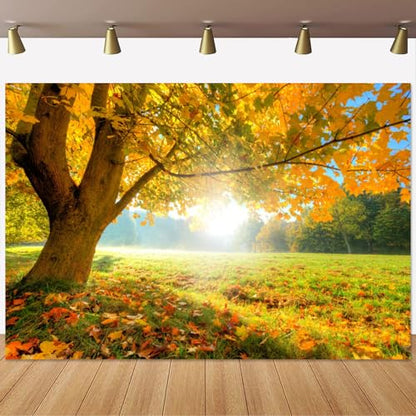 Yeele 10x8ft Autumn Forest Scenery Backdrop Wild Maple Tree Deciduous Grassland Photography Background Fall Nature Landscape Vinyl Wallpaper Portrait Photo Shoot Props - size: 10x8ft