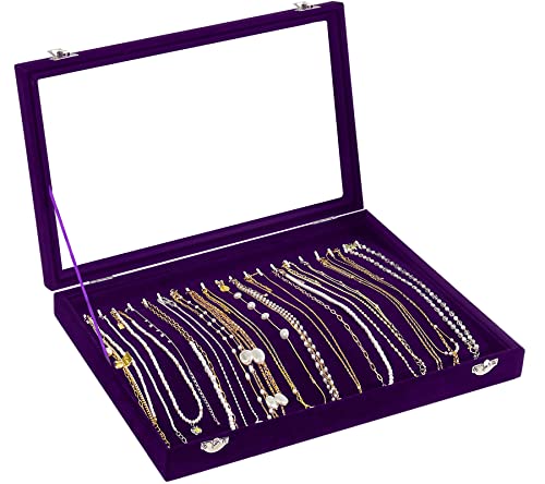Jenseits Necklace Holder Jewelry Organizer Box, Dustproof Velvet Necklace Tray Jewelry Display With Clear Lid, Preppy Jewelry Holder, Long Necklaces Pendants Organizer, Gifts For Women Girls - Purple - color: 1-Purple