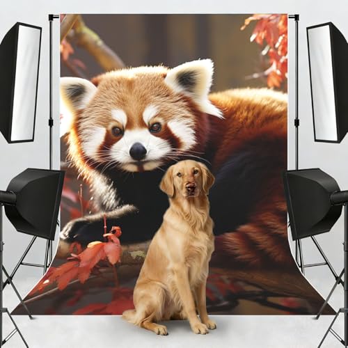 Red Panda Backdrop Background for Photography 5x7ft Photobooth Professional Photo Backdrop Curtains Video Photography Studio Photo Backgrounds Banner Booth Background Screen Parties - color: Red Panda