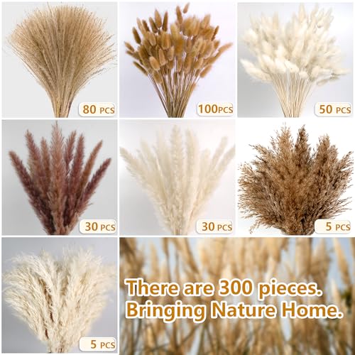 300 PCS Dried Pampas Grass Decor, Dried Flower Bouquets for Wedding, Home, Centerpiece Table, Modern Home, Western Living Room, Nurserie, Nursery, Boho Room, Beach, Women Office, and Boho Decor