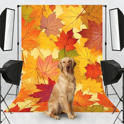 Autumn Leaves of Maple Backdrop Background for Photography 5x7ft Photobooth Professional Photo Backdrop Curtains Video Photography Studio Photo Backgrounds Banner Booth Background Screen Parties - color: Autumn Leaves Of Maple