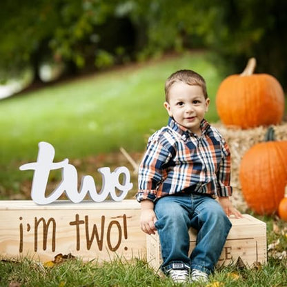 TONIFUL Two Wooden Sign Cutout Letter for 2nd Birthday Party Decorations Table Centerpieces for Second Birthday White Letter Wooden Photo Booth Props Party Decorations Supplies - style: Two