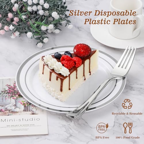 BESTVIP 50PCS Silver Plastic Plates, 10.25 Inch Disposable Dinner Plate Party with Silver Rim, Heavy Duty Disposable Plastic Plates for Christmas, Thanksgiving, Party, Wedding and Birthday - color: Silver, size: 50PC