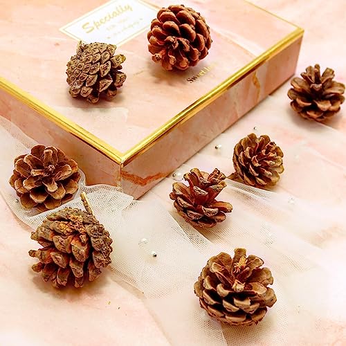 166Pcs Fall Thanksgiving Simulated Pumpkin, Maple Leaf, Pine nut, Autumn Decoration, Halloween Decoration, Pumpkin Model, Vegetable Cabinet Display, Photography, Early Education Props
