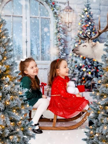 Kate Christmas Snow Tree Backdrop for Photography Winter Door Brick Wall Background for Pictures Photo Studio Props (7x5ft)