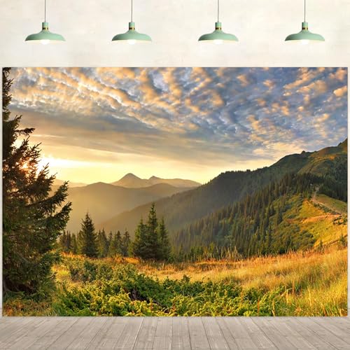 8x6ft Mountain Landscape Backdrop Nature Scenery Sunset Mountains Green Trees Forest Photography Background Camping Theme Decorations Kids Adults Outdoor Portraits Photo Studio Props - color: Mountain-1, size: 8x6ft