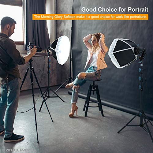 LINCO Lincostore Studio Round Lighting LED Bulb 15 inch Portrait Light Modern Style with Diffuser (Single Light) AM264