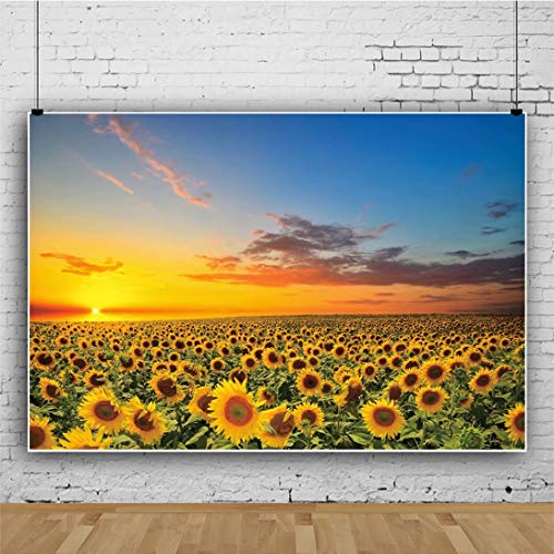 shensu Vinyl 10x7ft Sunflowers Backdrops for Photography Beautiful Flowers Field Sunset Sky Photo Background Newborn Girls Boys Adults Wedding Photo Portrait Decor Studio Props - size: 10x7ft
