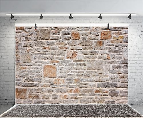 AOFOTO 12x8ft Stone Wall Backdrop Vintage Rock Stone Textured Photography Background Medieval Vineyard Old Castle Cobblestone Brick Wall Birthday Party Scene Setters Decoration Photo Booth Props - size: 12x8ft