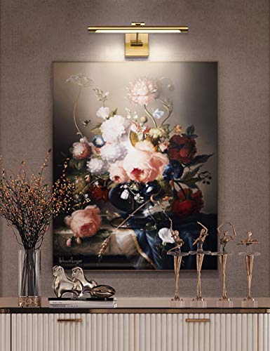 LED Picture Light Fixtures 16.54 Inches, Modern Metal Artwork Wall Lamps with Single Swing Arm, 7W (50W Eqv.), Hardwired Connection, Non-Dimmable, 3000K Warm White, CRI80+, Golden-Like Brass Finish - color: Brass, size: Non-Dimmable 16.53" Long
