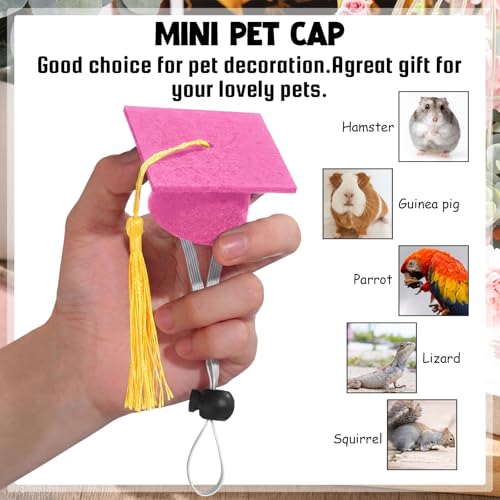 Eccliy 2 Pcs Pet Graduation Caps Mini Bachelor Hats with Tassel for Small Animal Guinea Pigs Hedgehog Bird Turtles Hamster Photo Props Graduation Festival Holiday Party Accessory (Pink Gold) - color: Pink Gold