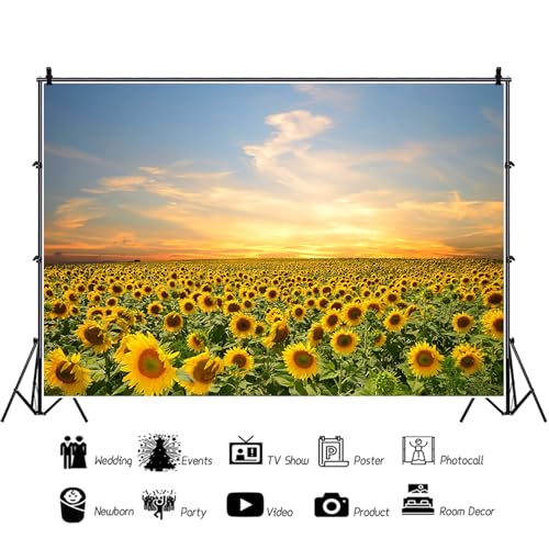 12x10ft Vinyl Sunflowers Field Backdrops for Photography Background Summer Landscape Sunset Blue Sky Outdoor Holiday Party Backdrop Children Adults Portraits Photo Studio - size: 12x10ft