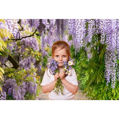 12x8ft Background for Purple Cirrus Pathway Photography Backdrop Purple Wisteria Violet Vine Wedding Ceremony Anniversary Honeymoon Birthday Children Adults Photo Studio Vinyl Props - size: 12x8ft