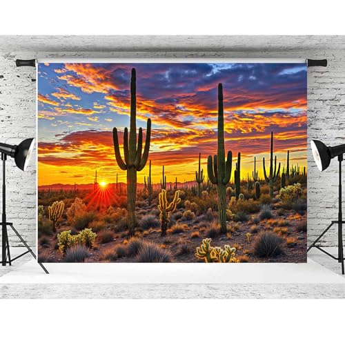 12x10ft Desert Scenery Backdrop Cactus Photography Backdrops Desert Sunset Photo Backdrop Tourist Scenery Photo Backdrop Curtains - size: 12X10FT