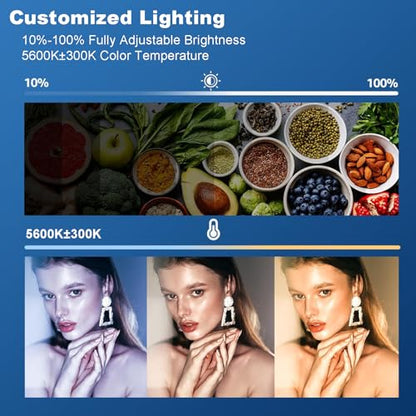 2pcs SL60W LED Video Light Kit with Softbox,60W Bowens Mount Studio Continuous Light Kit with Stand,Remote Control,Reflector,Brightness Adjustment for Video Recording,Wedding,Live Streaming
