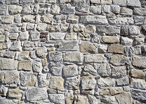 BELECO 9x6ft Fabric Vintage Brick Stone Wall Backdrop for Photography - Ancient Rock Textured Background Wallpaper for Birthday Party Decorations, Studio Booth Photo Props - size: 9x6FT